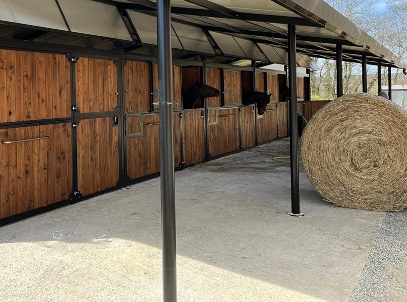 Fieracavalli Plus Fieracavalli Plus