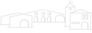 LIS NERIS logo
